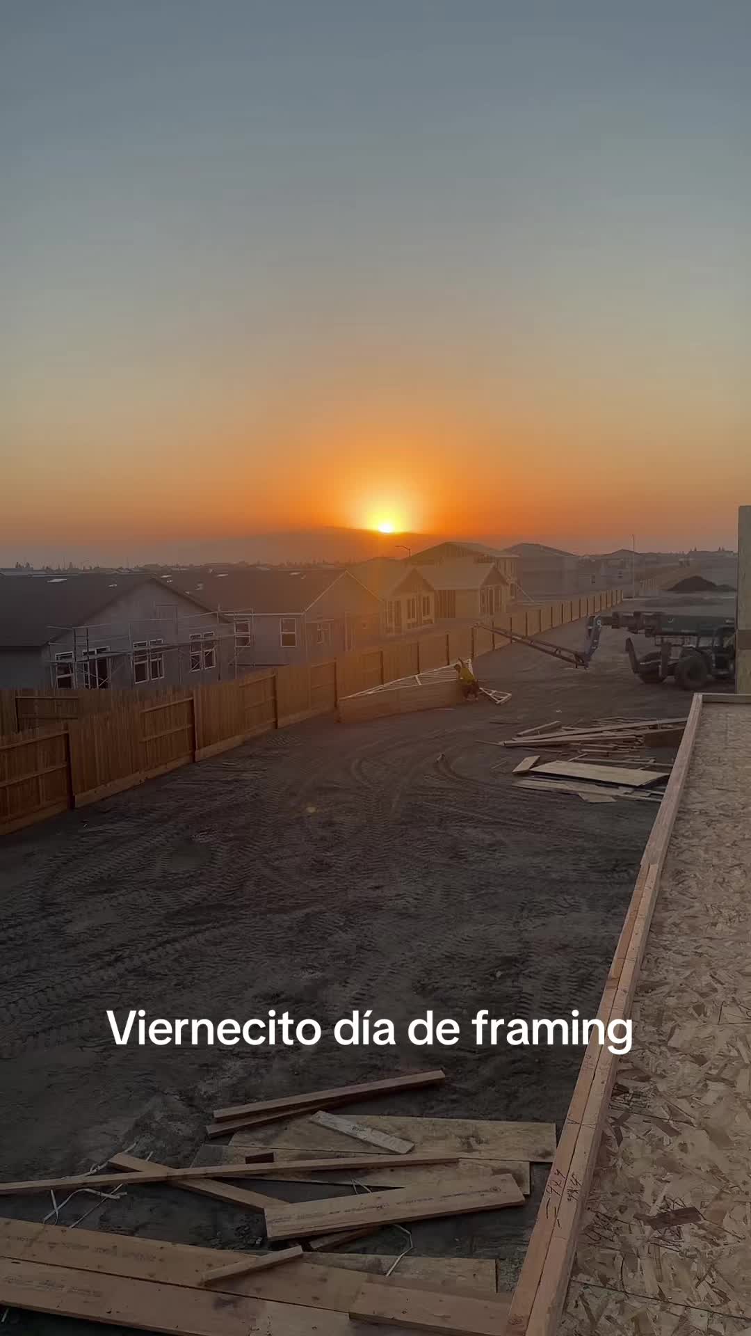 @Bicho503