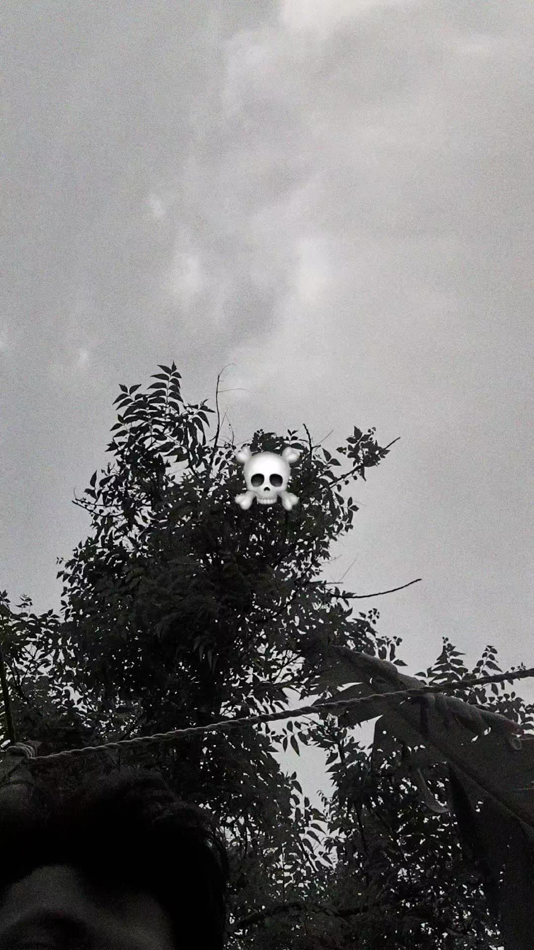@𝗦𝗞.Sᴀʙʙɪʀ