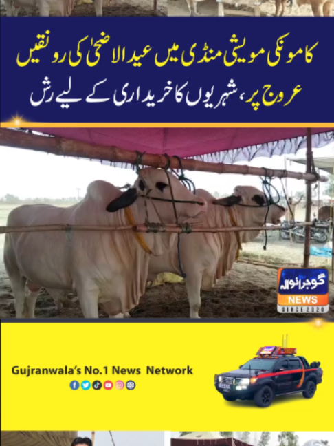 @Gujranwala News