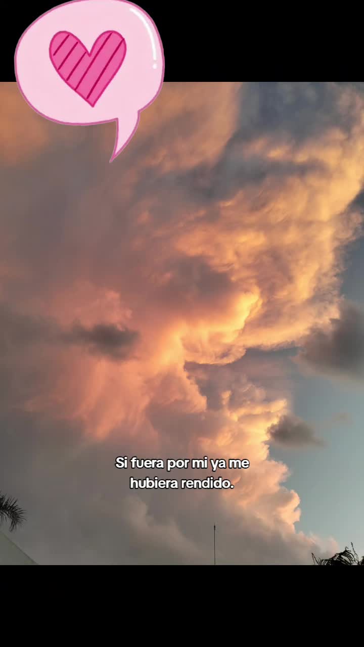 @✿ ᴬᴺᴰᵞ &int;ᴾᴬᴸᴬᶜᴵᴼˢ ᥫ᭡