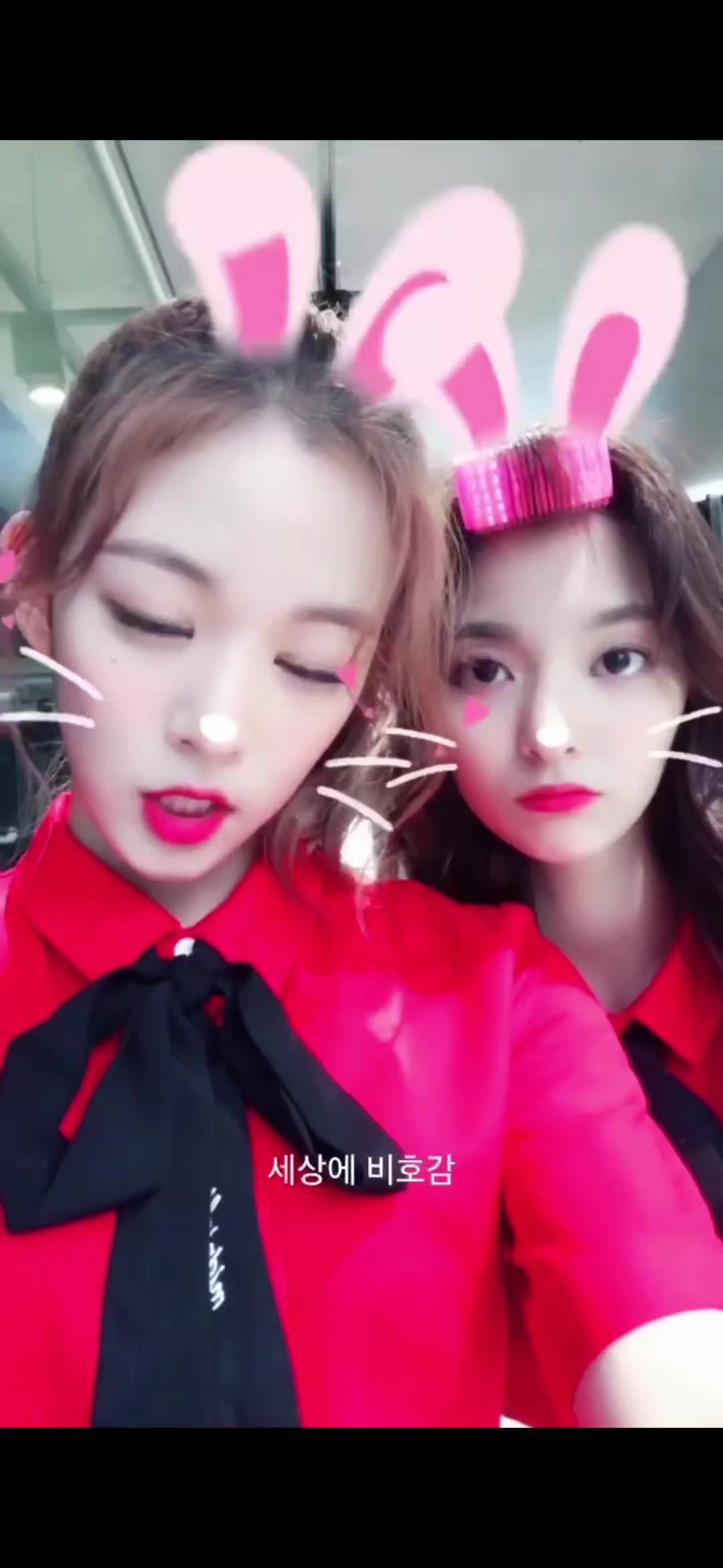 @프로미스나인 팬계정