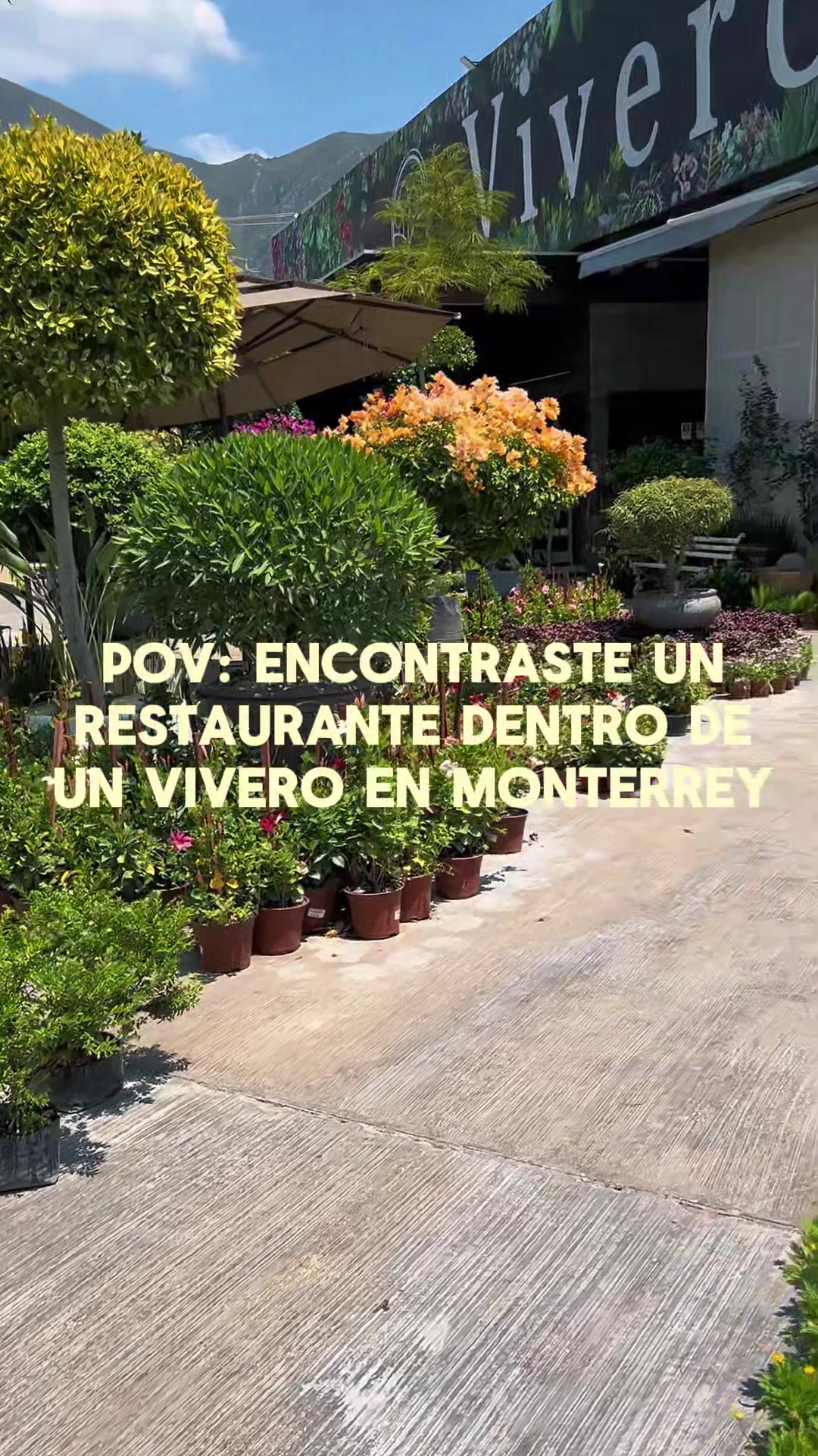 @Edén Flor y Café