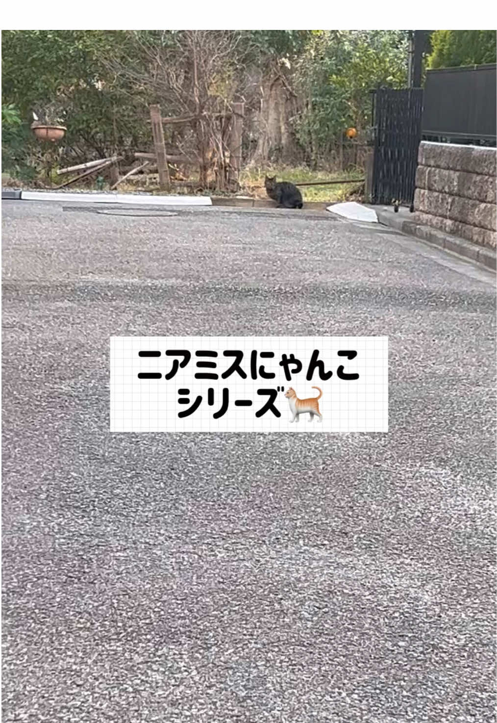 @なんこつ