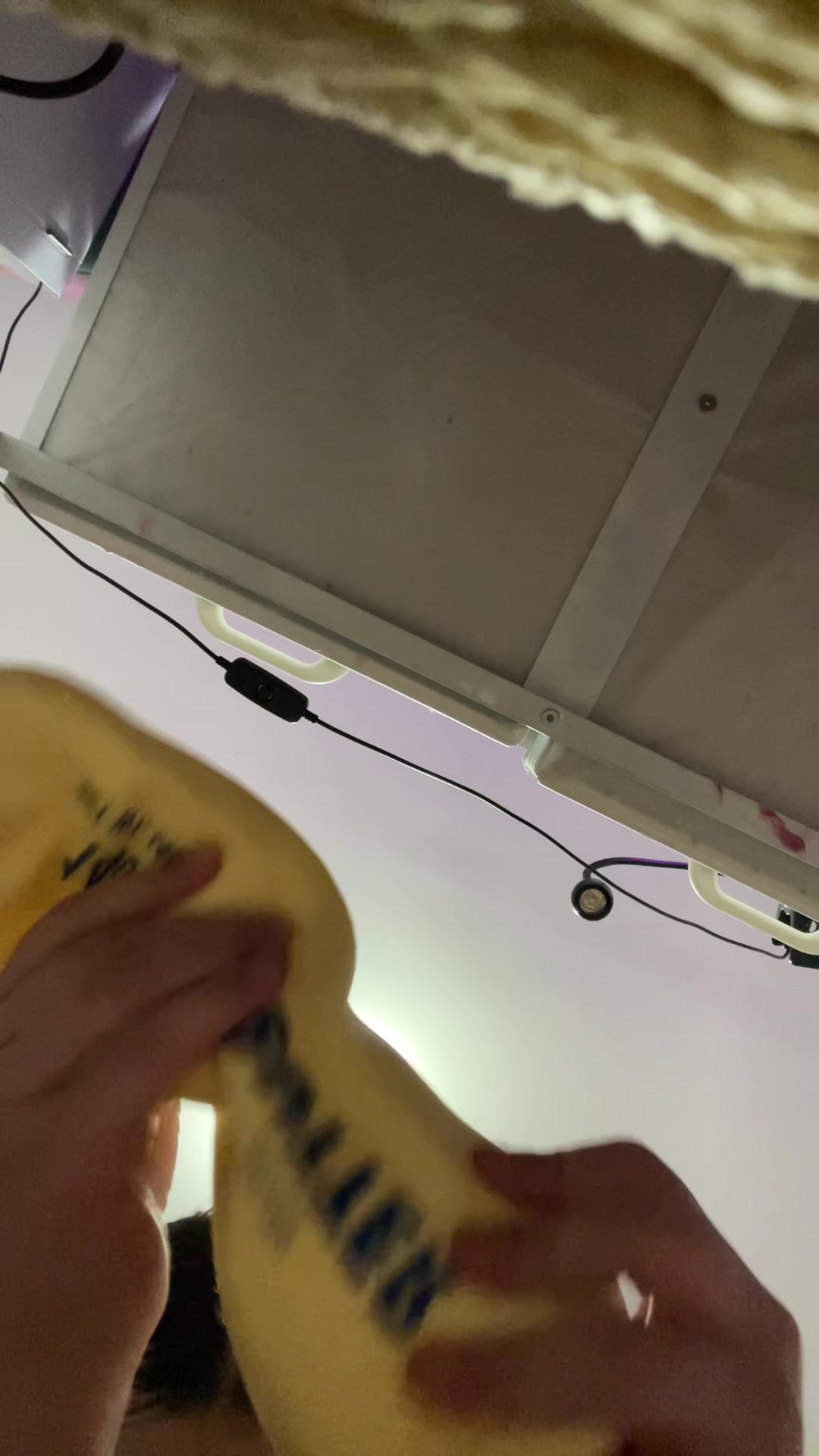 @Random_videosqueen