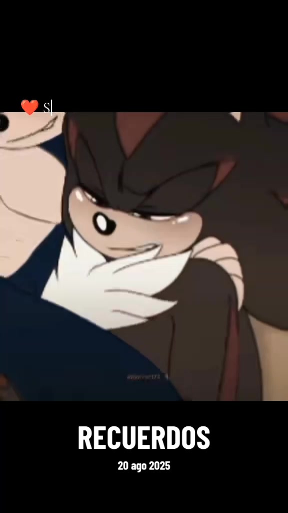 @❤️shadow the hedgehog sonadow?