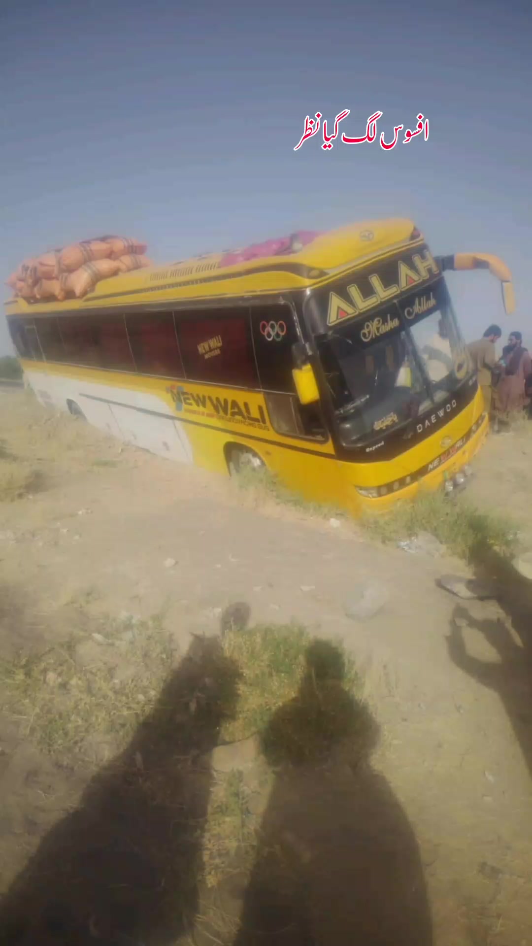 @New _Wali_bus