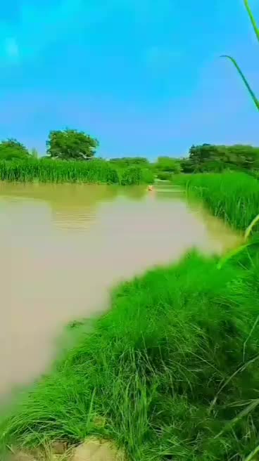 @fakhar mahmood fakhari