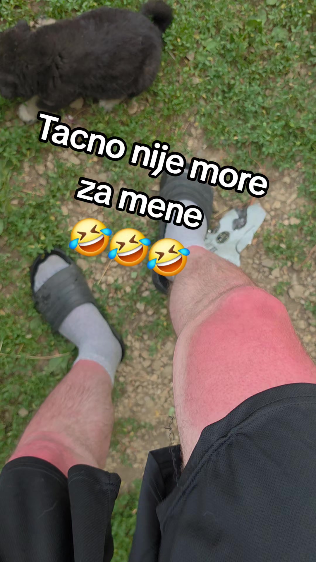 @Thedoogfather