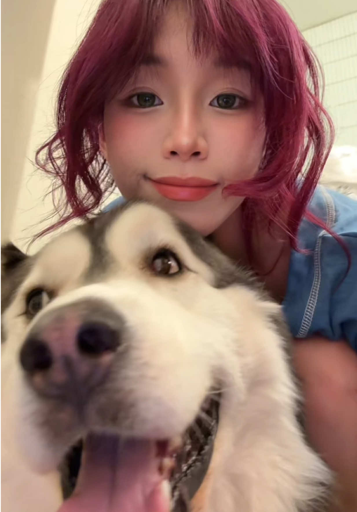 @SHULUN