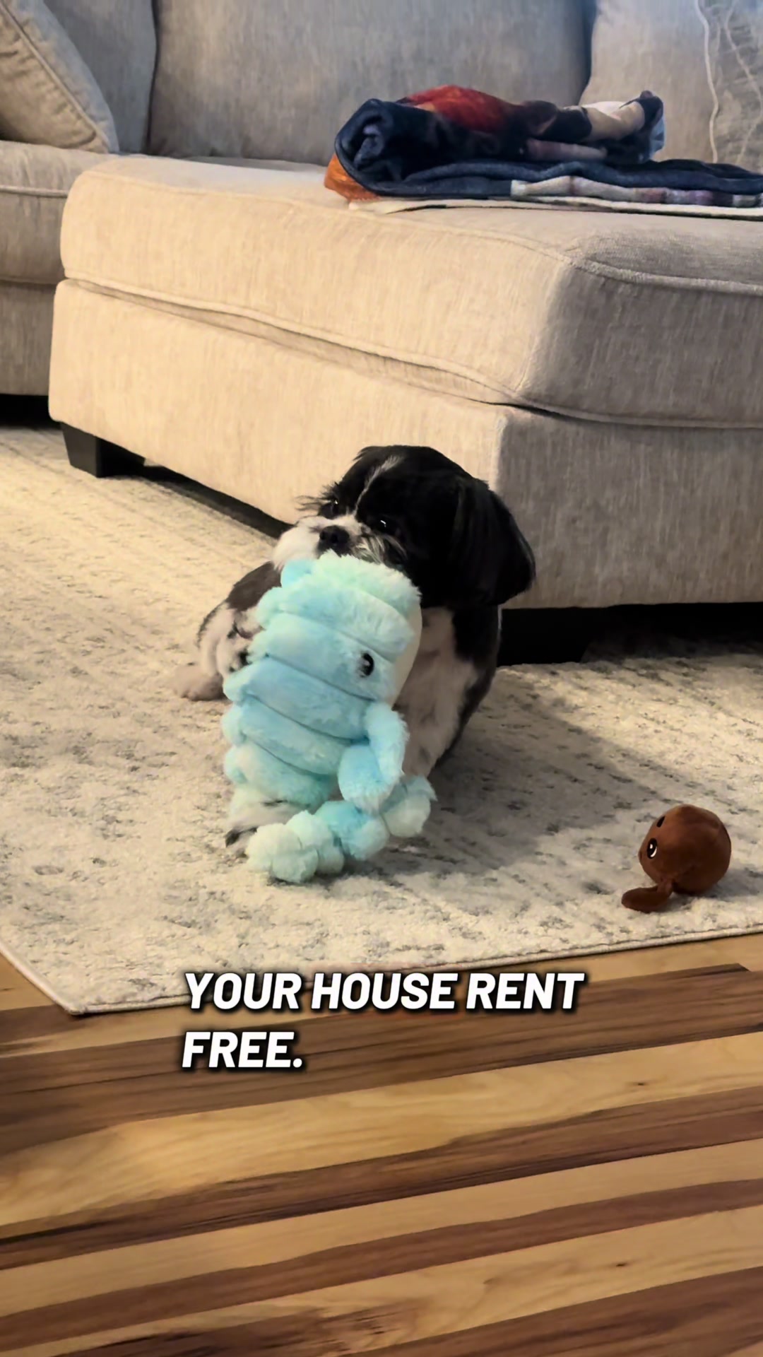 @Sue