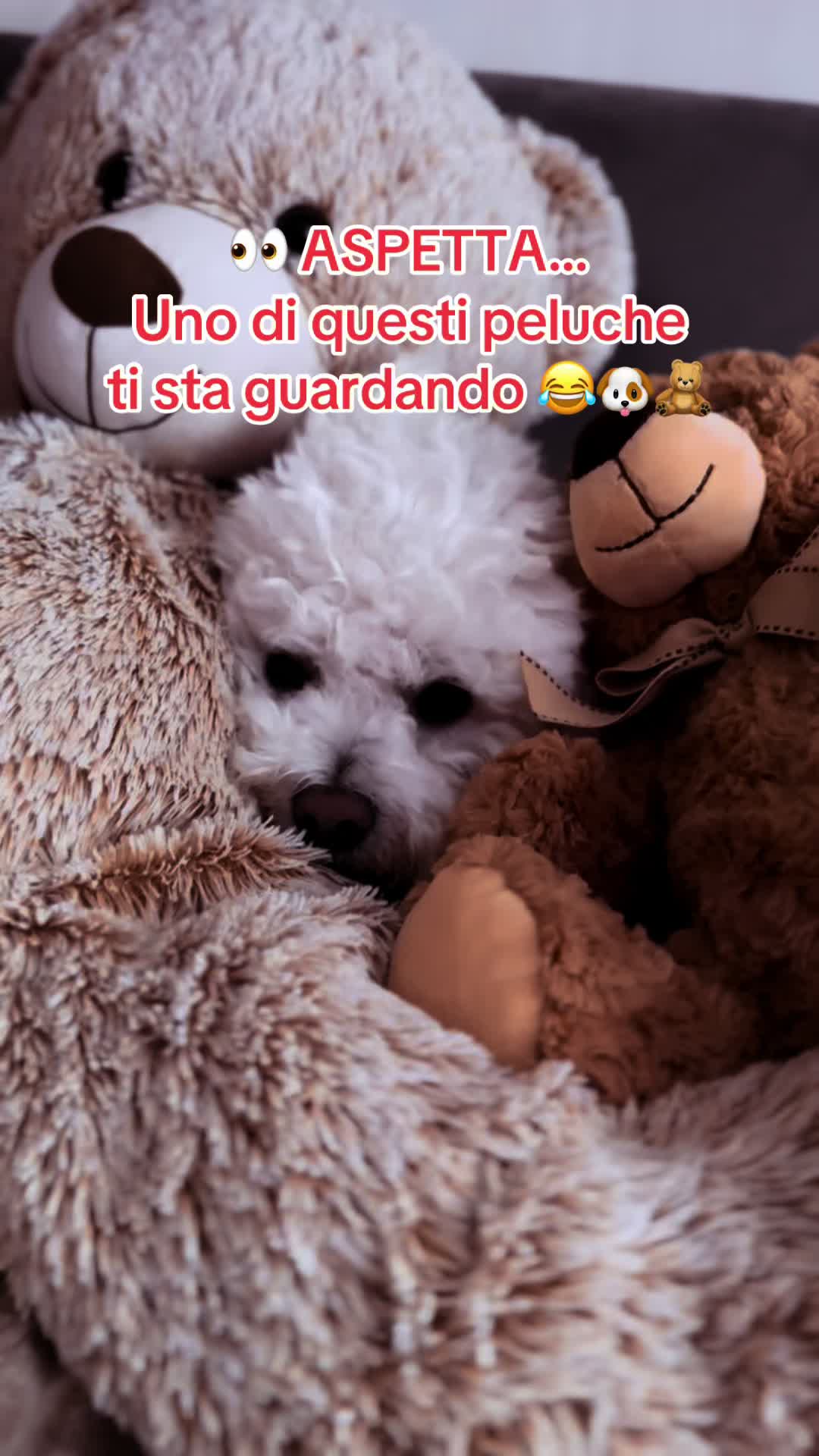 @Gabry💕