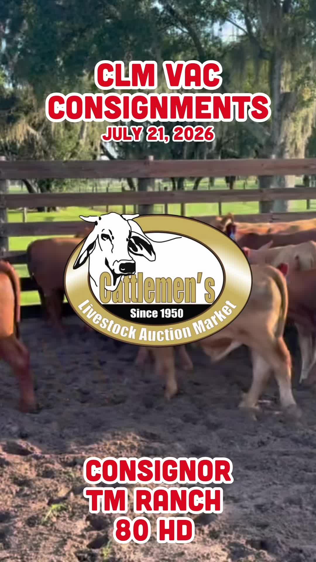 @Cattlemen&rsquo;s Livestock Market