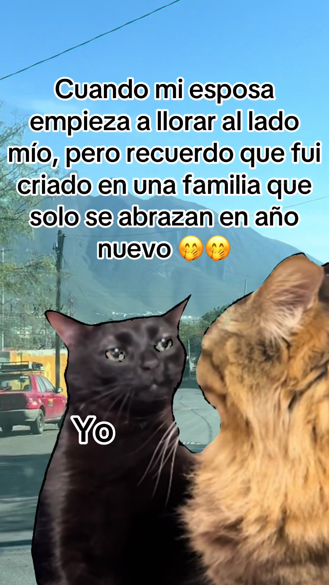 @José Francisco olmedo