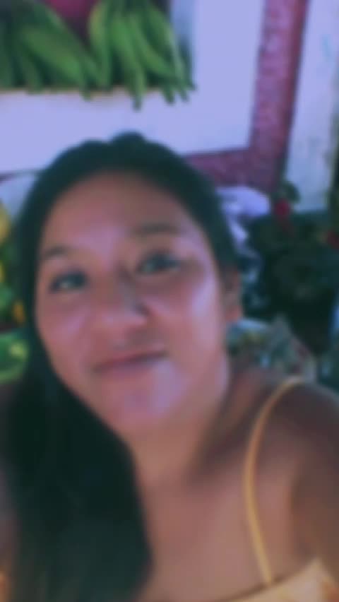 @felix el gato2