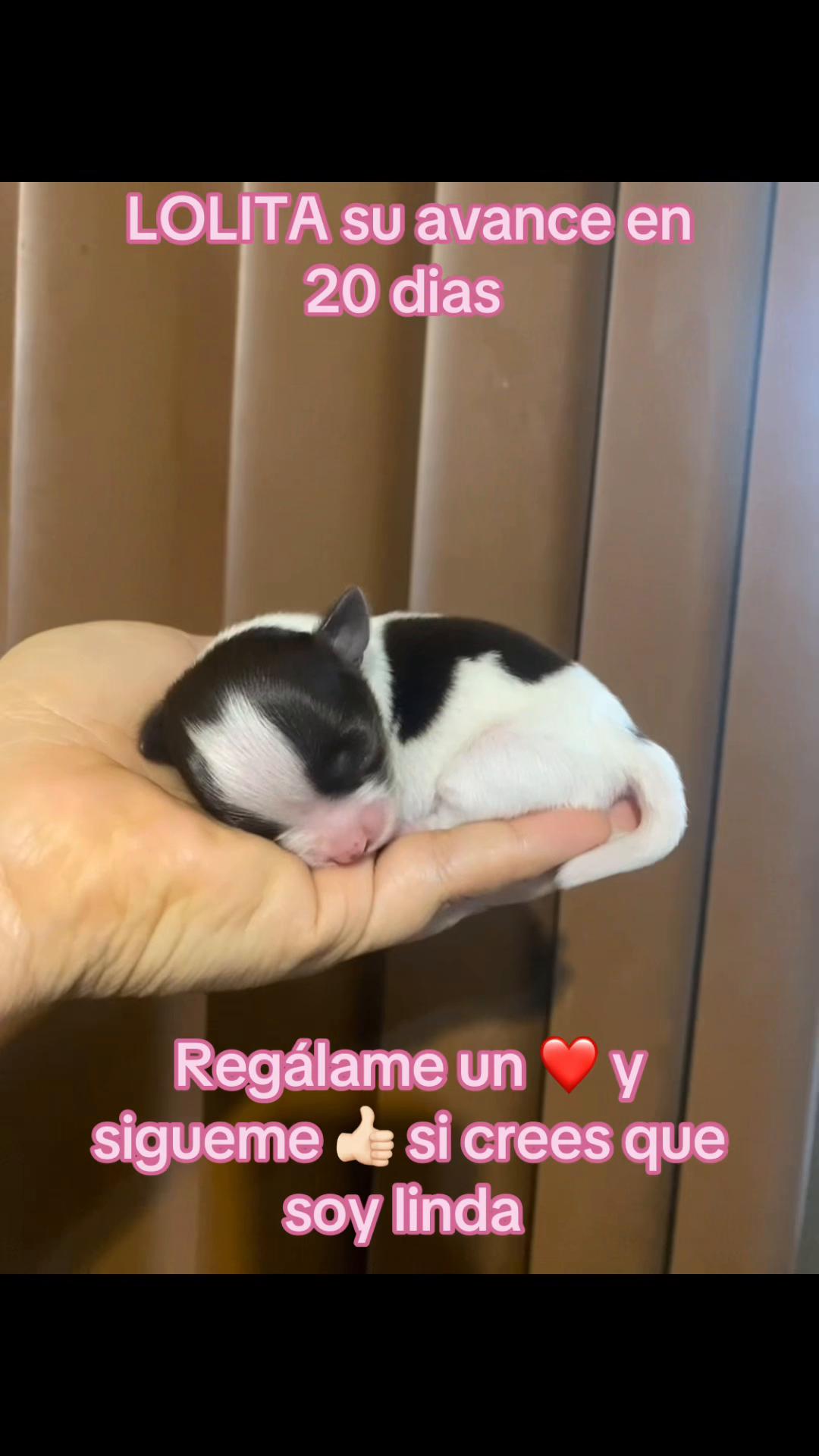 @Kira y Luna Benavides