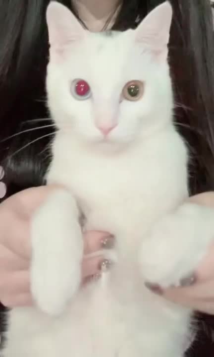 @user73882423091