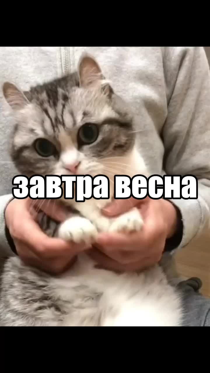 @Истории комару