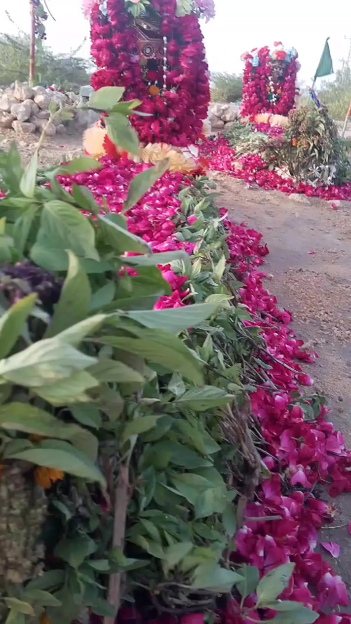 @Asad Ali jakhro