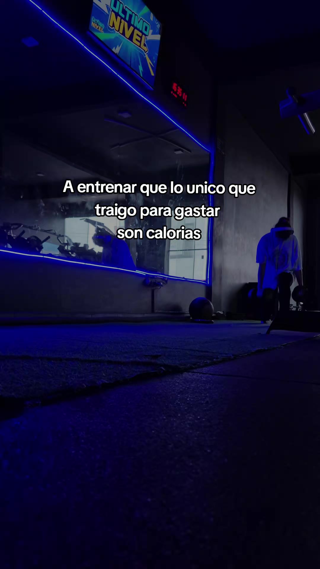@PAOLA🌷🪻🦋