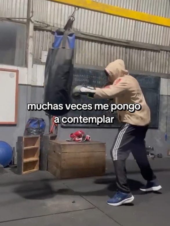 @Alexis Cardozo
