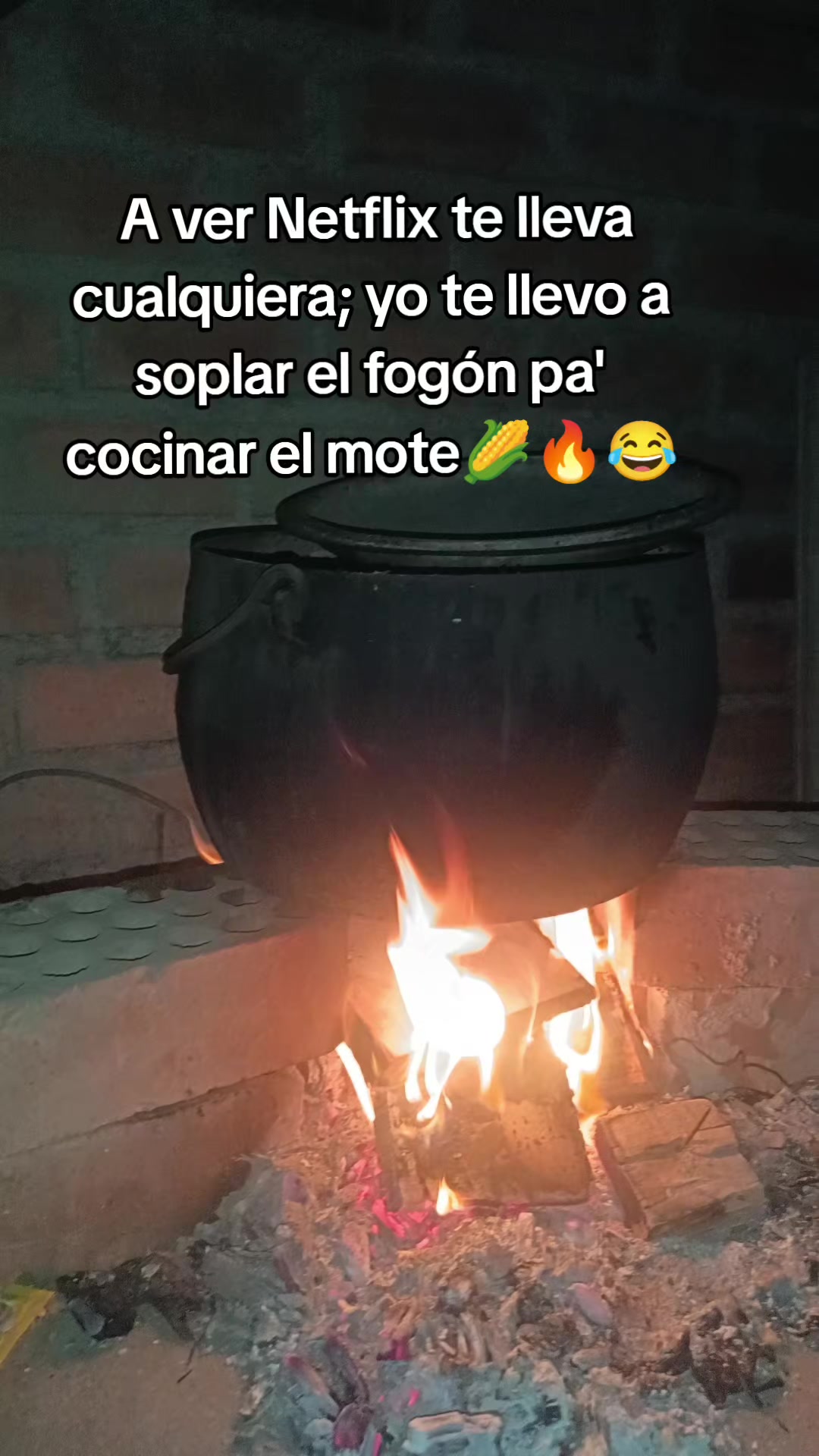 @🌻🦋la_shiliquita🦋🌻🩵🤍🩺