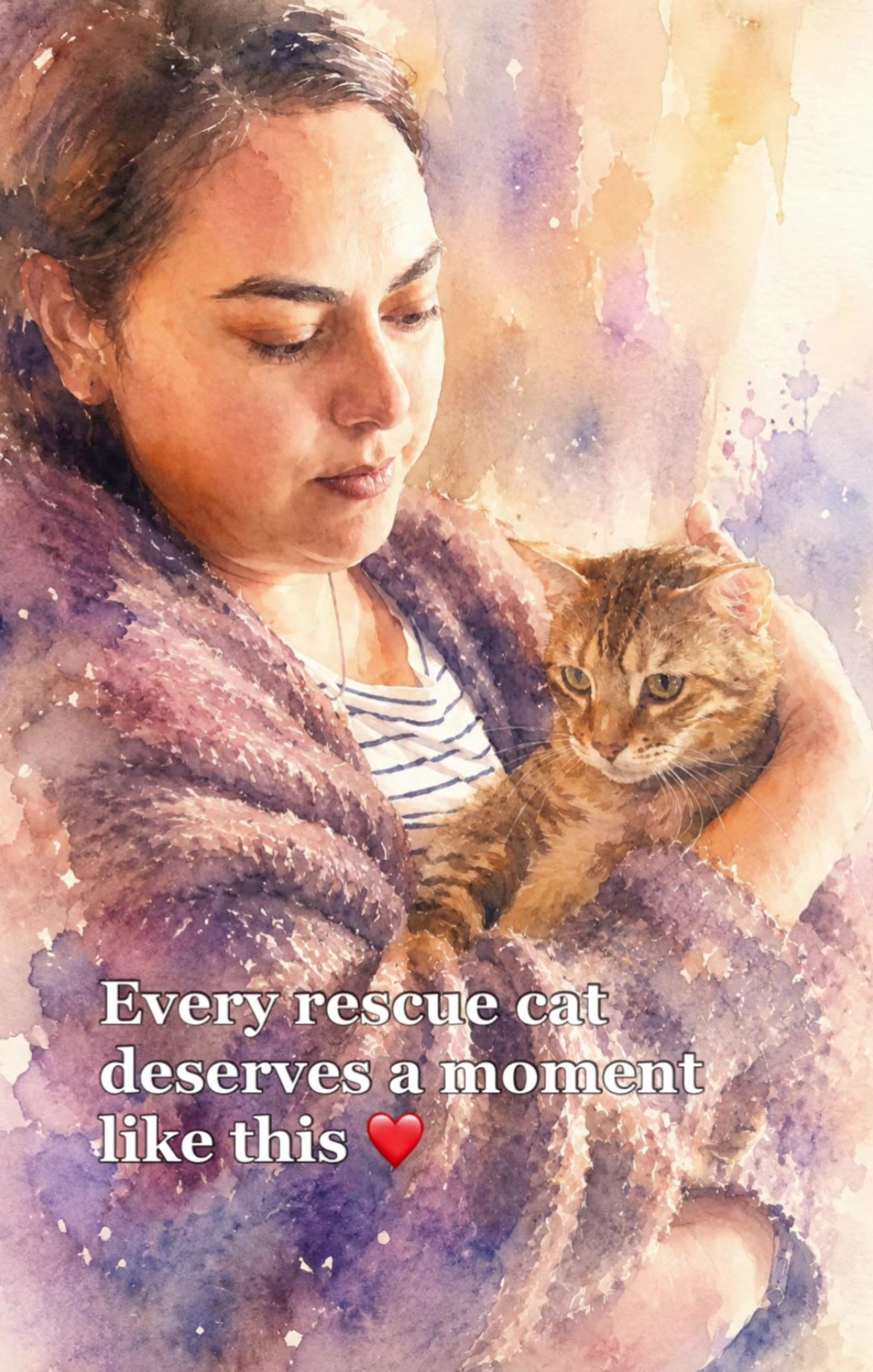 @North Toronto Cat Rescue