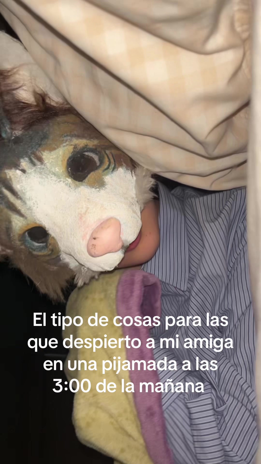 @Paniu:3