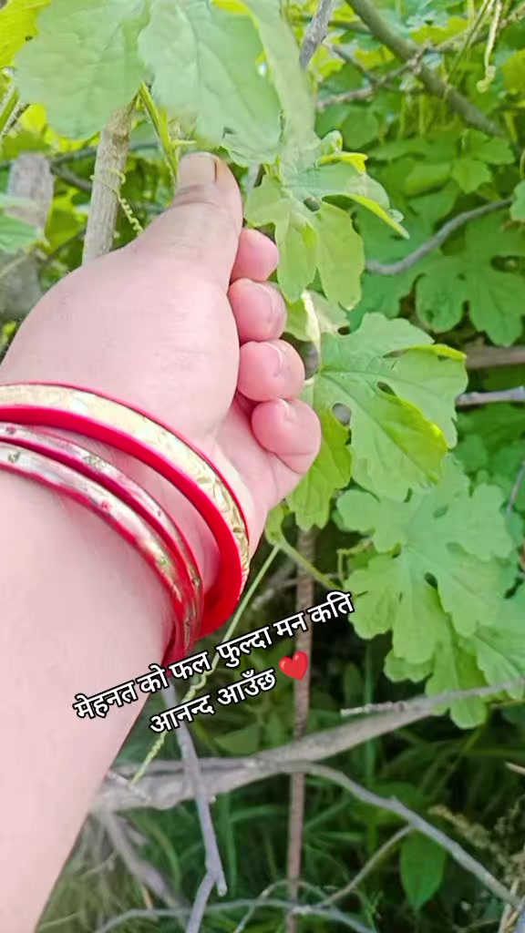 @कमला ऐर ४५६
