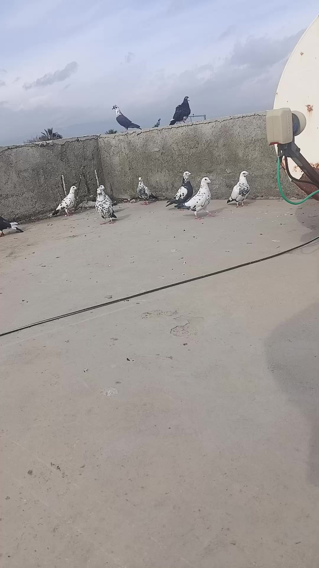 @Ahmet Göçmez