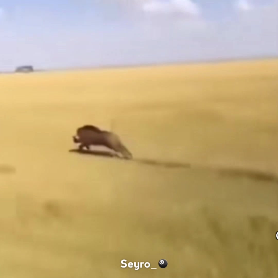 @𝑺𝒆𝒚𝒓𝒐_🐌