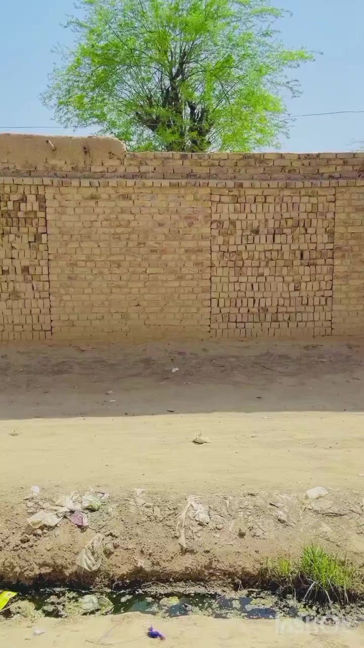 @SozaL Khan🤣