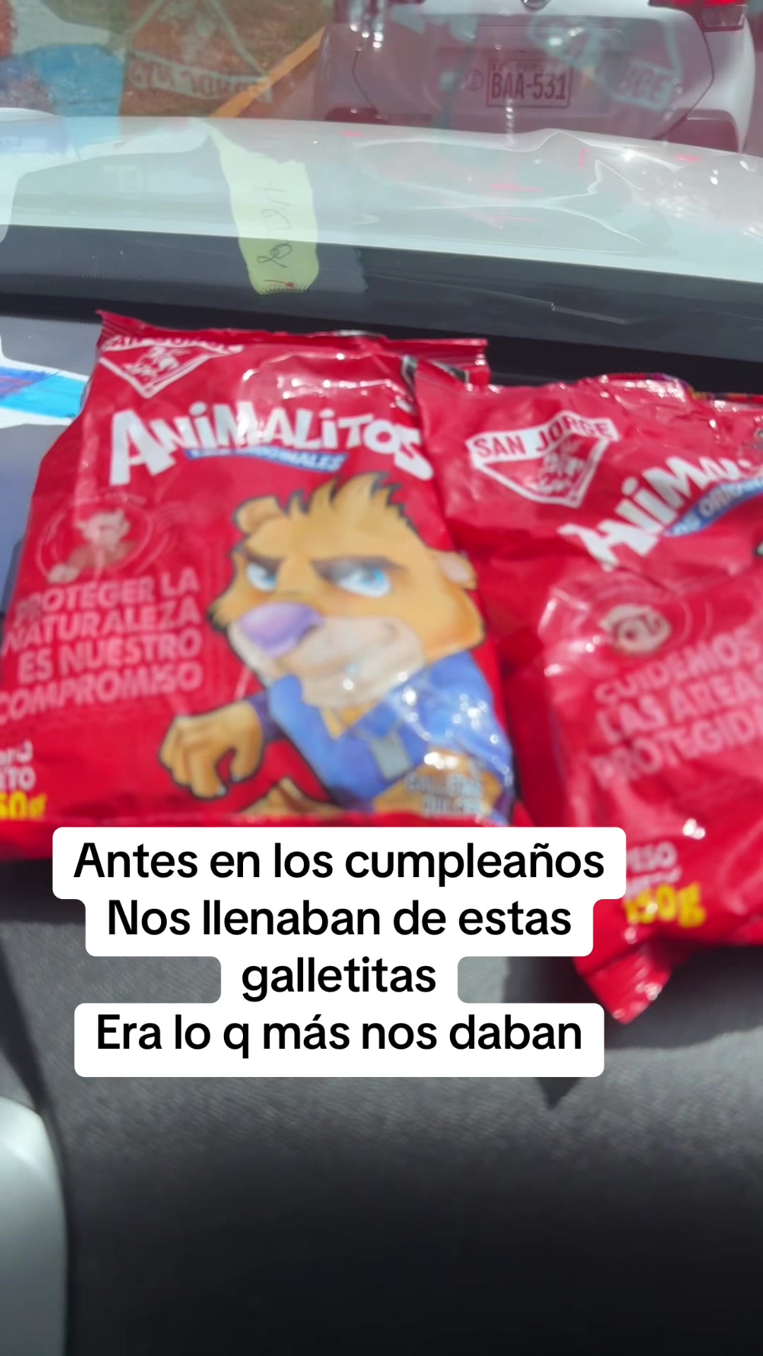 @marcelasilvaayala