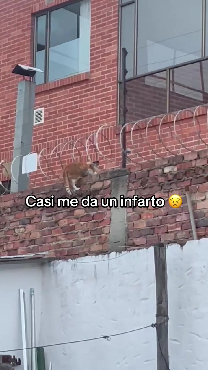 @laurajuliana140 🫧