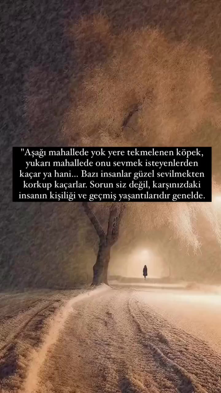 @Ali Bayam