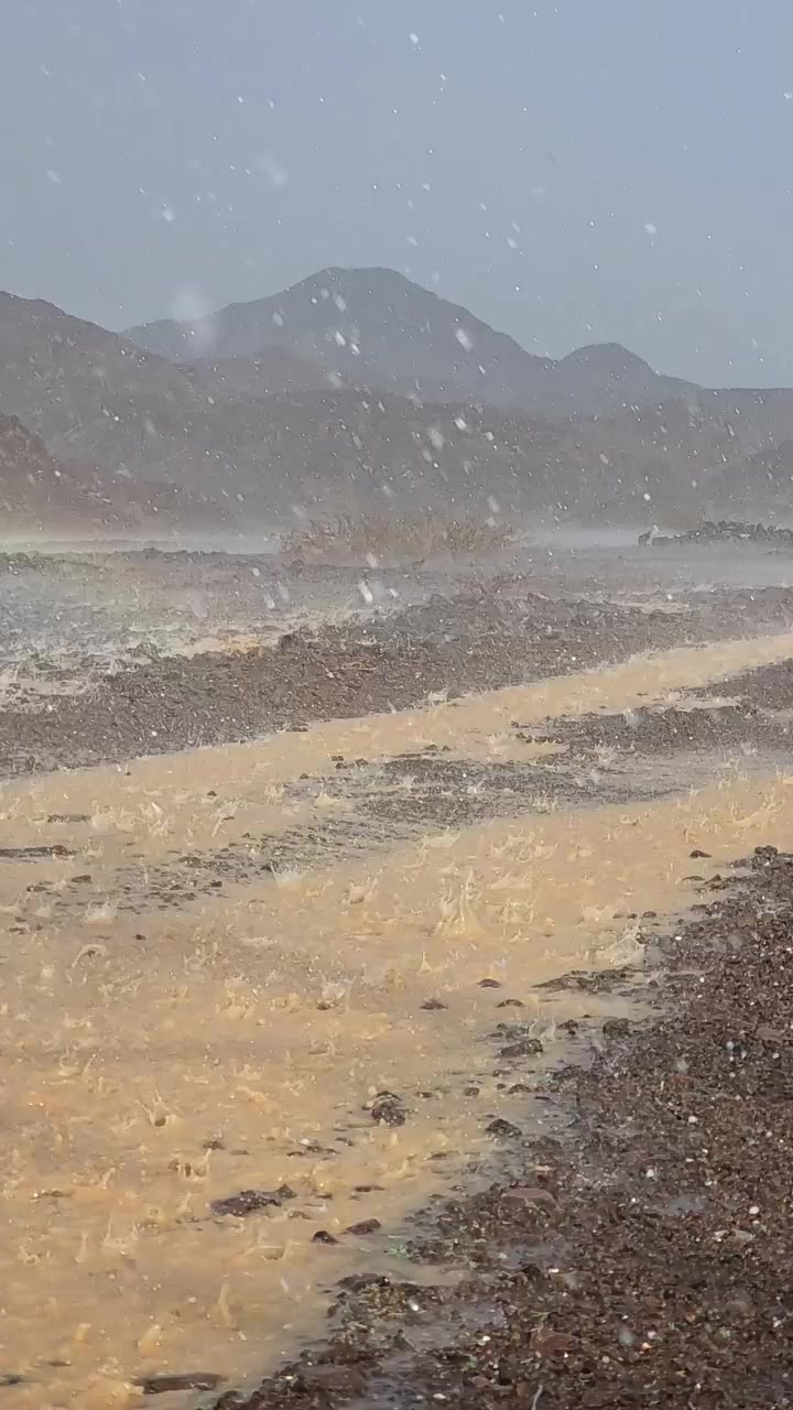 @ولد زايد 🇦🇪