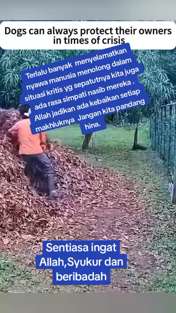 @Shane Anani