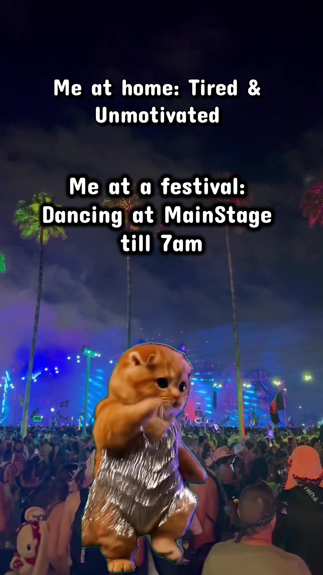 @Ravingfamilia
