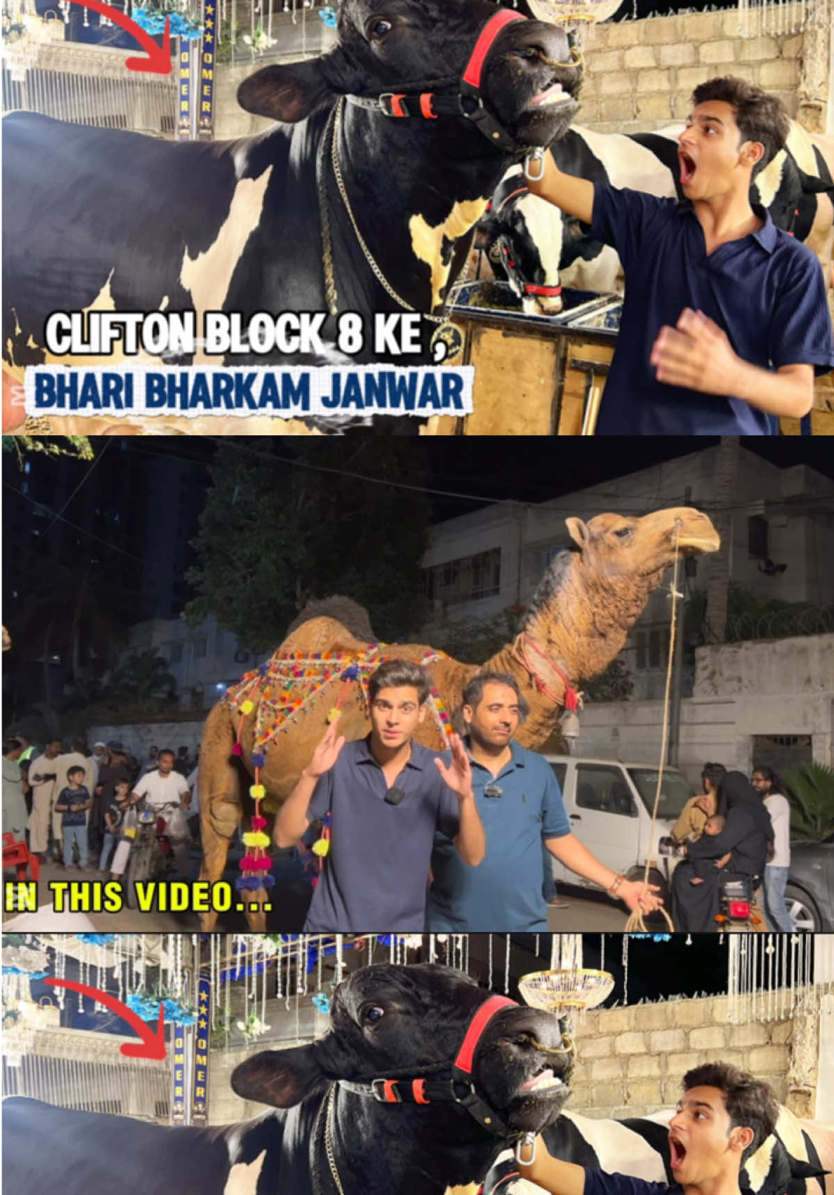 @Ayan Iqbal