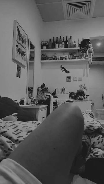 @SOLO_YOLO