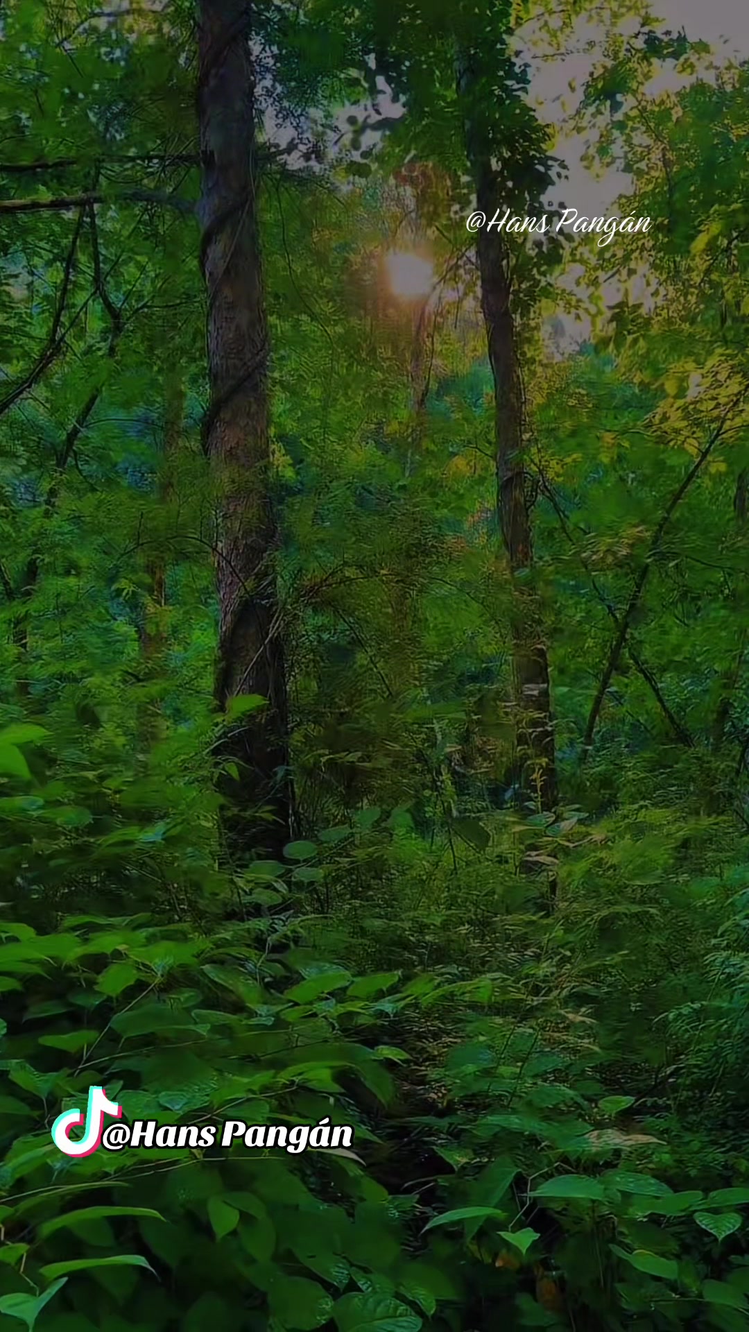 @🇬🇹𝑯𝒂𝒏𝒔 𝑷𝒂𝒏𝒈𝒂́𝒏 🎥&reg;