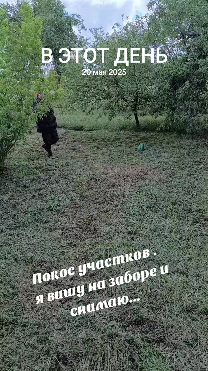 @Ясюня