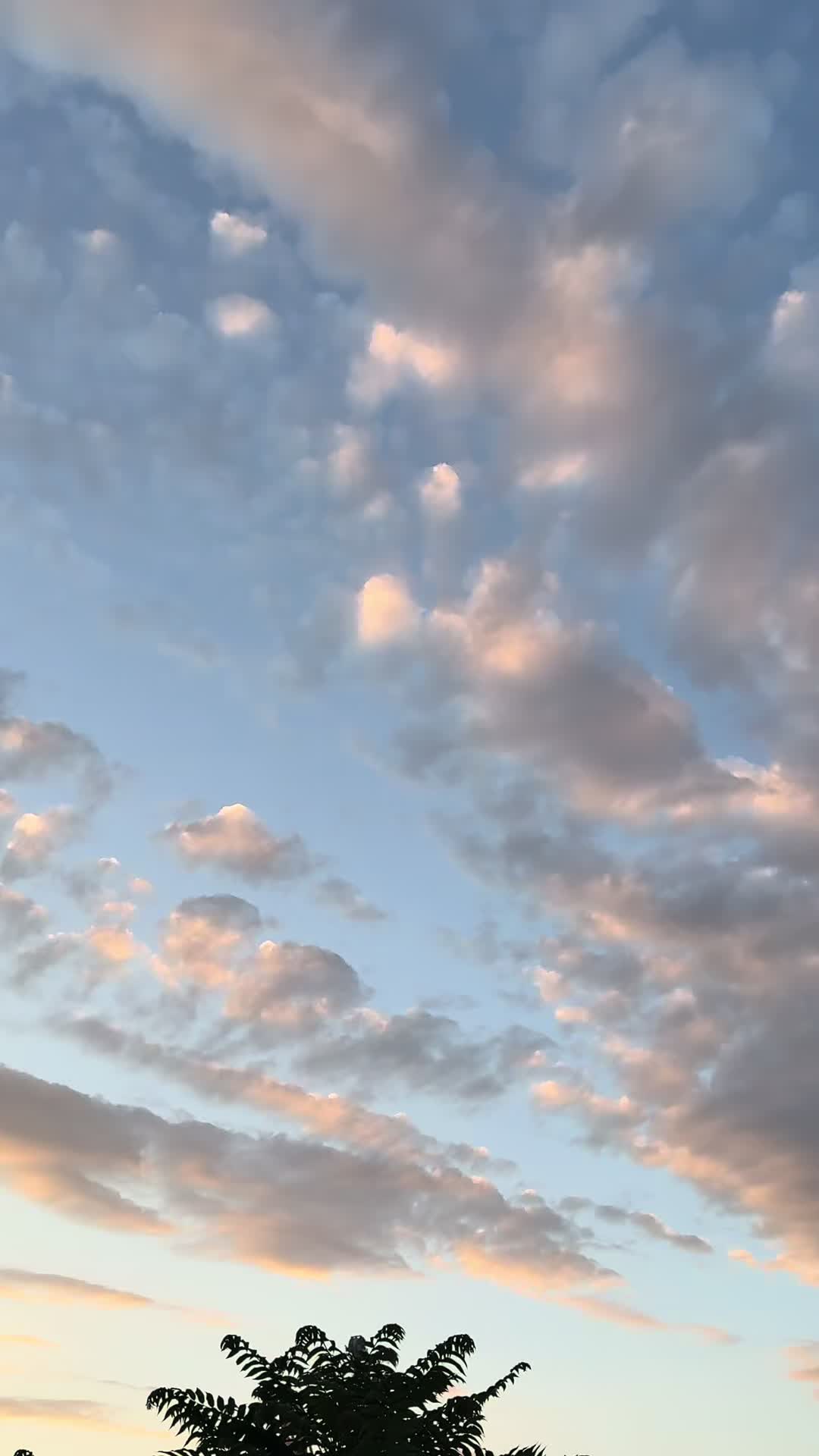 @𝗔𝗯𝗱𝘂𝗹𝗿𝗮𝗵𝗺𝗮𝗻𝗸𝗱𝘇