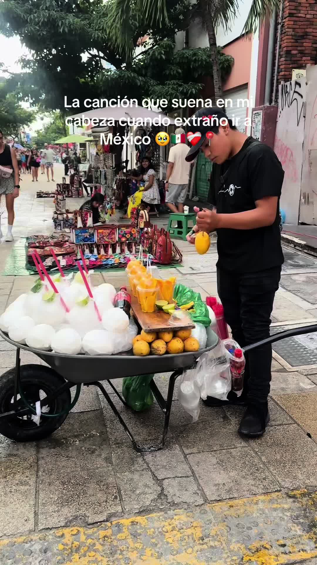 @wendyfervlogs