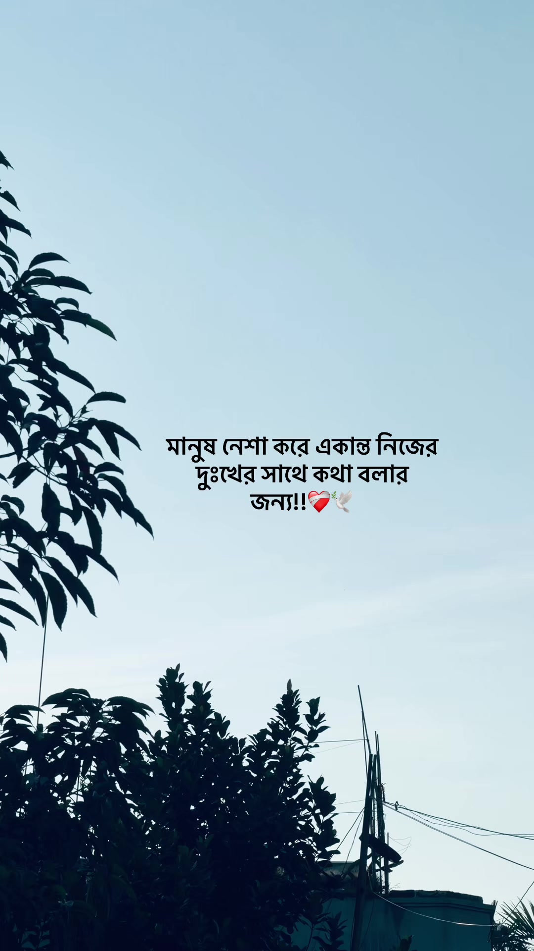 @HABIB_001