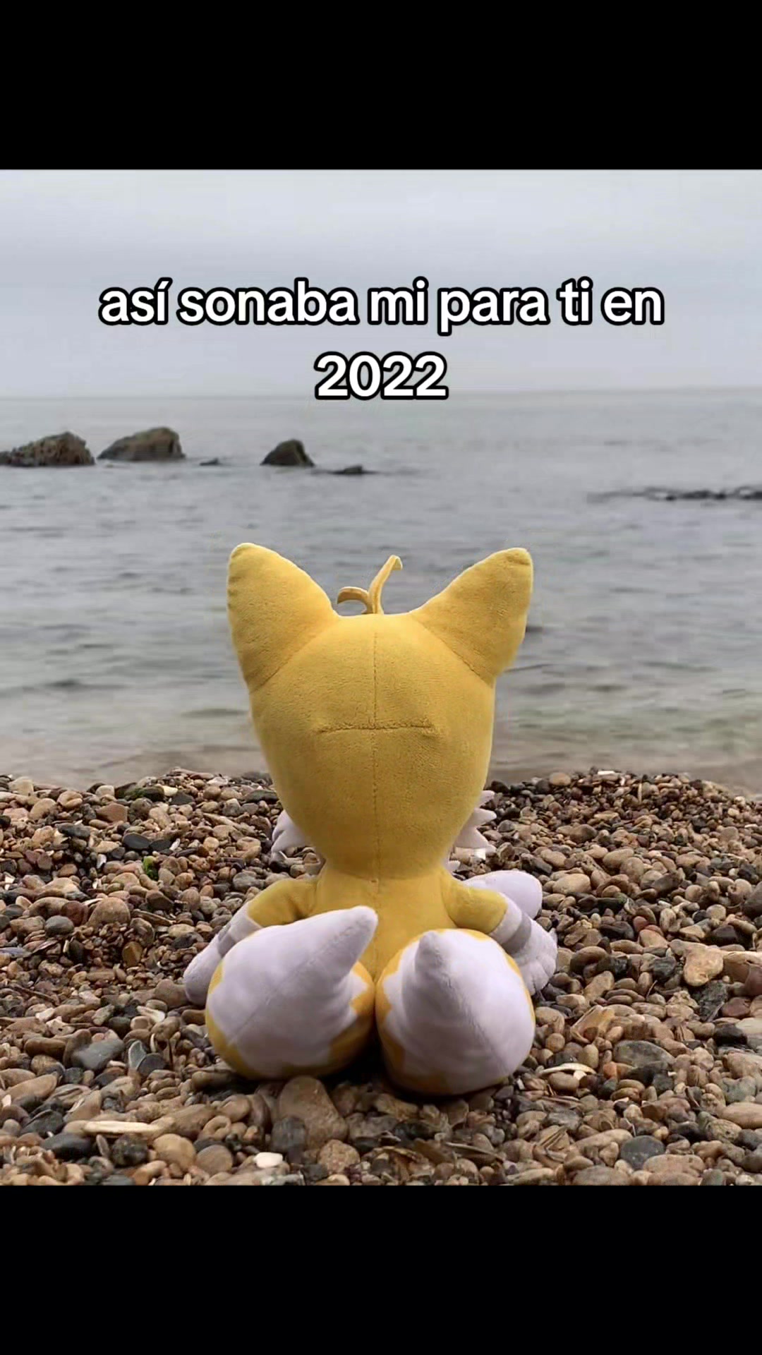 @🟡☆🦊Tails tu pana🦊☆🟡