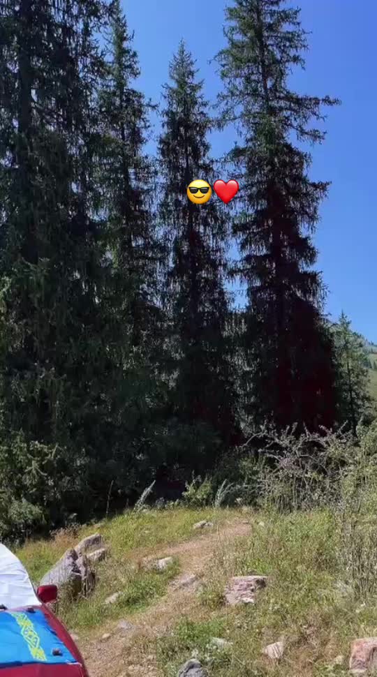 @bezzzzzzumniy