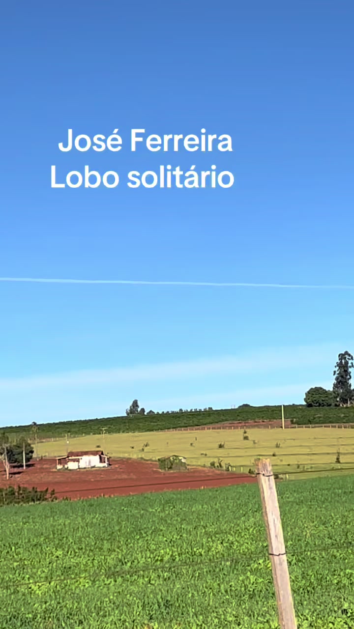 @joseferreiraferreira8