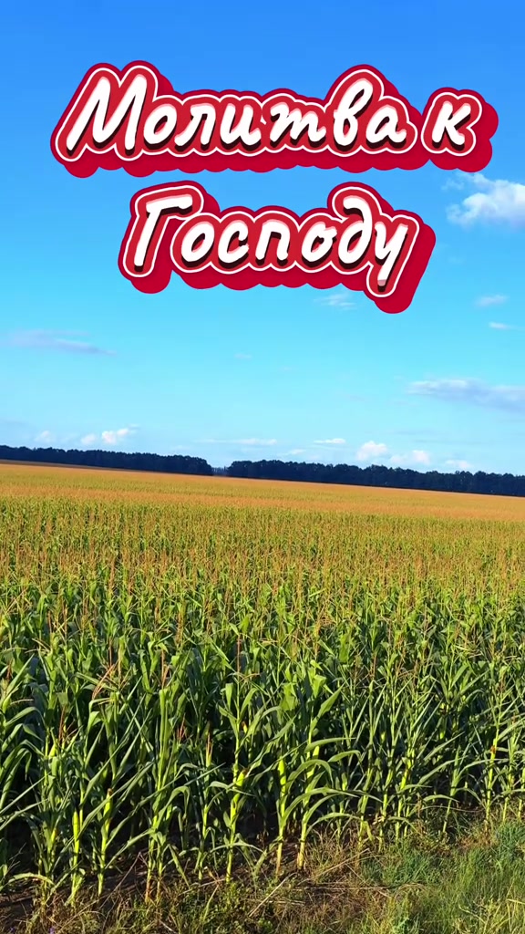 @vadim5614