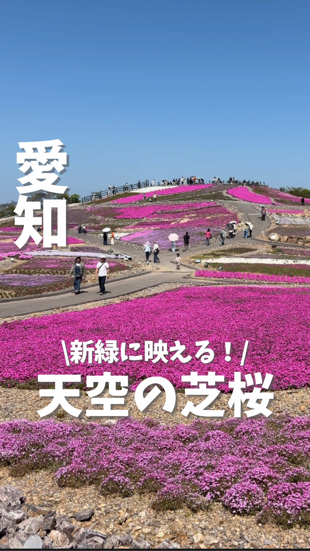 @まつ夫婦 | 名古屋発!夫婦デート&癒し旅