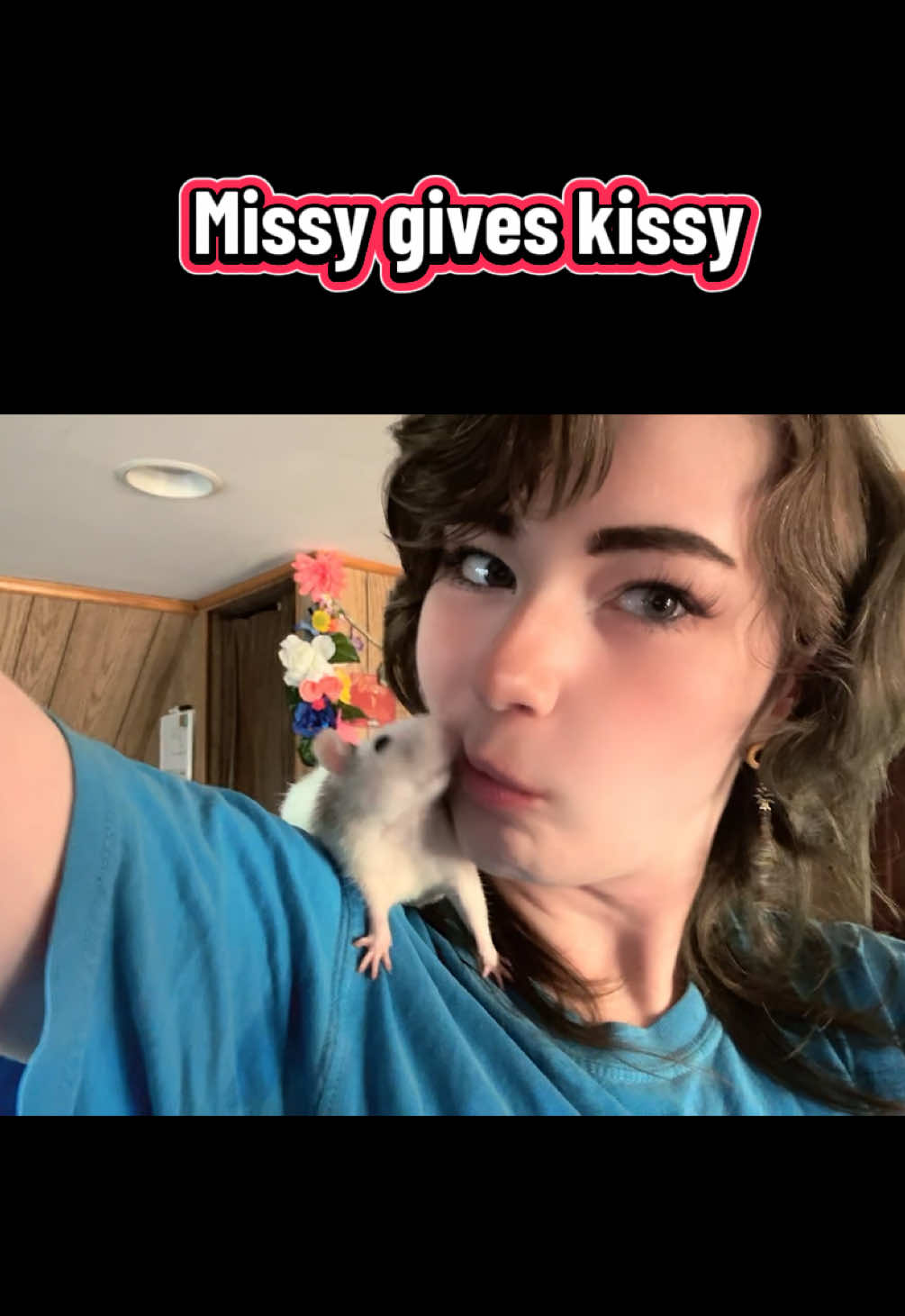 @lookatmyrodents